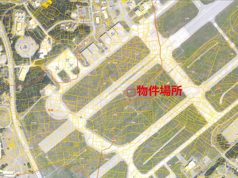 嘉手納飛行場（滑走路内）